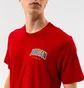 Футболка чоловіча Air Jordan Jumpman Graphic Red DM3217-687