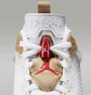Кросівки чоловічі Air Jordan Spizike Low White FQ1759-105