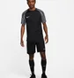Футболка мужская Nike Dri-Fit Academy Black Dh8031-010