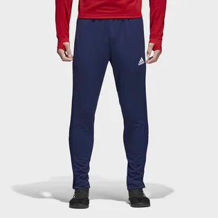 Штаны мужские Adidas Condivo 18 Cv8243 Blue