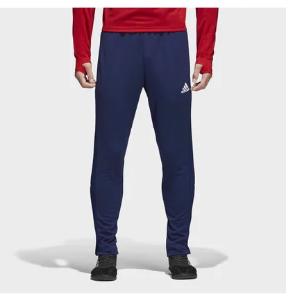 Штаны мужские Adidas Condivo 18 Cv8243 Blue