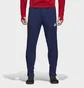 Штаны мужские Adidas Condivo 18 Cv8243 Blue