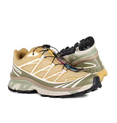 Кроссовки мужские Salomon Xt-6 Antelope/Icicle/Portabella Beige L47581000