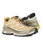 Кроссовки мужские Salomon Xt-6 Antelope/Icicle/Portabella Beige L47581000