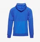 Худи мужское Nike Strike 22 Pullover Hoody Blue DH9380-463