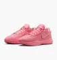 Кроссовки женские Nike Lebron Xx Pink DJ5423-600