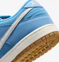 Кросівки чоловічі Nike Dunk Low Sb Blue FJ1674-401