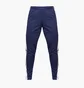 Штаны мужские Adidas Squadra 21 Training Pants Blue HC6273