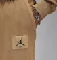 Штани чоловічі Air Jordan Flight Fleece Beige FB7298-231