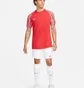 Футболка мужская Nike Dri-Fit Academy Red DH8031-657