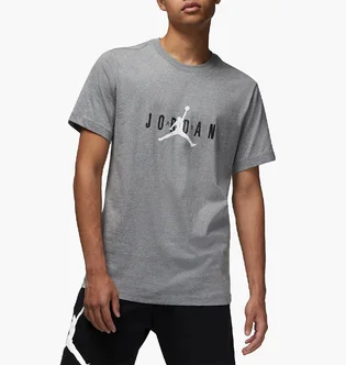 Футболка чоловіча Air Jordan M J Jdn Air Stretch Ss Crew Grey Dm1462-091