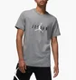 Футболка мужская Air Jordan M J Jdn Air Stretch Ss Crew Grey Dm1462-091