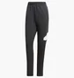 Штаны мужские Adidas Future Icons Badge Of Sport Black IN3322