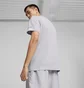 Футболка мужская Puma Mercedes-Amg Petronas Motorsport Grey 623759-02