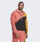 Олимпийка мужская Adidas Adicolor Colorblock Track Jacket Multi Hc4500