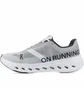Кроссовки мужские On Cloudsurfer Next Grey 3ME30020070