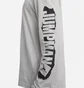 Лонгслив мужской Air Jordan Jumpman Flight Long-Sleeve T-Shirt Grey DA9881-091