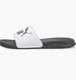 Тапочки унісекс Puma Chanclas Popcat 20 White 372279-036