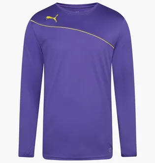 Лонгслів чоловічий Puma Momentta Violet 701702-10