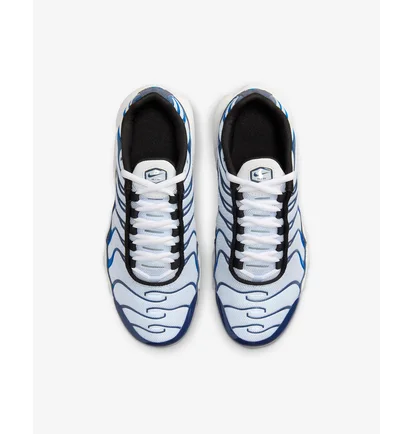 Кросівки дитячі Nike Air Max Plus Grey/Blue CD0609-409