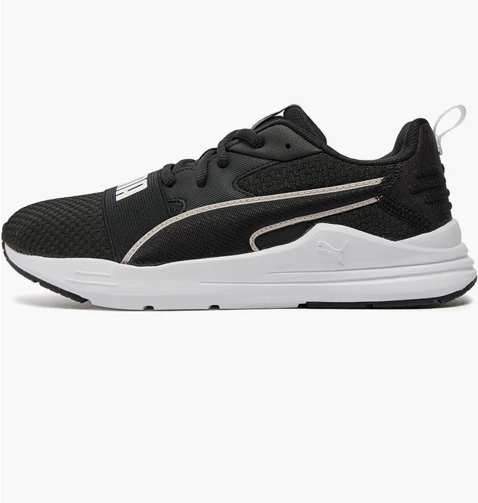 Кросівки чоловічі Puma Wired Run Pure Black 389275-15