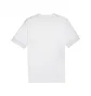 Футболка чоловіча Puma Teamgoal Matchday Shirt White 705747-04