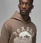 Худі чоловіче Air Jordan Artist Series By Umar Rashid Brown Dv7571-274