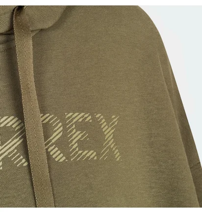 Худи мужское Adidas Terrex Logo Olive IW3802