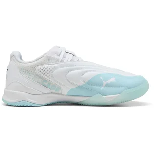 Футзалки мужские Puma Ibero V Indoor White 108455-01