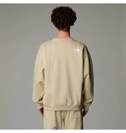 Свитшот мужской The North Face Ilori Crew Beige NF0A89C83X4