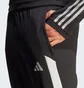 Штаны мужские Adidas Tiro 23 Competition Winterized Black IL7265
