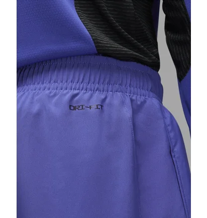 Шорты мужские Air Jordan Dri-Fit Sport Violet Dv9789-430