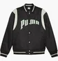 Бомбер мужской Puma Team Varsity Black 623691-01