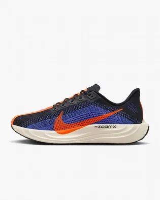 Кроссовки мужские Nike Pegasus Plus Road Running Shoes Blue FQ7262-008