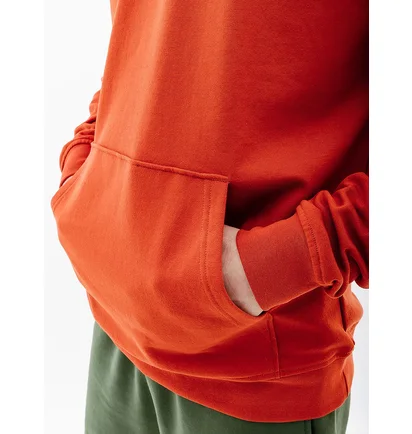 Худи мужское Helly Hansen Nord Graphic Pull Over Hoodie Orange 62975-308