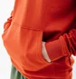 Худи мужское Helly Hansen Nord Graphic Pull Over Hoodie Orange 62975-308