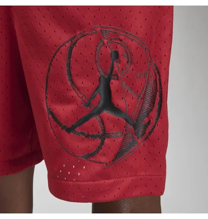 Шорты мужские Air Jordan M J Df Sprt Bc Hbr Mesh Short Red DZ0569-687