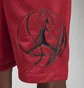 Шорты мужские Air Jordan M J Df Sprt Bc Hbr Mesh Short Red DZ0569-687