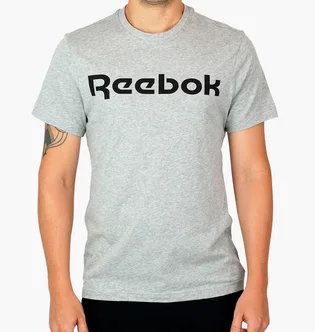 Футболка чоловіча Reebok Graphic Series Linear Logo Grey FP9162