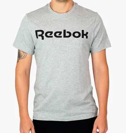 Футболка чоловіча Reebok Graphic Series Linear Logo Grey FP9162