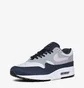Кросівки чоловічі Nike Air Max 1 Grey/Blue FD9082-001