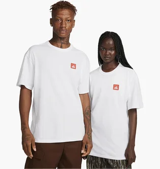 Футболка унисекс Nike Sb Skate T-Shirt White FJ1167-100