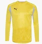 Кофта мужская Puma Yellow 732372-03