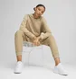 Спортивний костюм жіночий Puma Home Suit Brown 679920-83