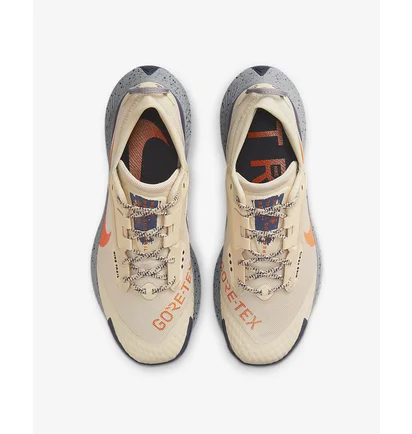 Кросівки чоловічі Nike Pegasus Trail 3 Gtx Beige DC8793-200