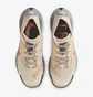 Кросівки чоловічі Nike Pegasus Trail 3 Gtx Beige DC8793-200