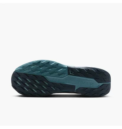 Кросівки чоловічі Nike Pegasus Trail 5 Gtx Blue FQ0908-005