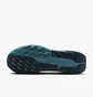Кросівки чоловічі Nike Pegasus Trail 5 Gtx Blue FQ0908-005