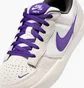 Кроссовки мужские Nike Sb Force 58 Beige DV5477-006