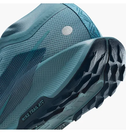 Кросівки чоловічі Nike Pegasus Trail 5 Gtx Blue FQ0908-005
